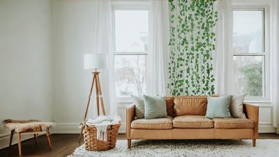 Five Different Reasons People in My Inbox Have Hung Fake Ivy on Their Walls
